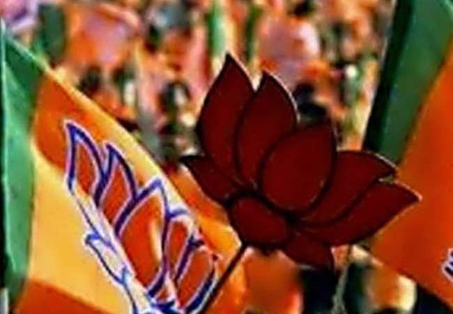 दिल्ली विधानसभा चुनाव 2020 : जीत दिलाने के लिए सभी सांसदों को मिली जिम्मेदारी