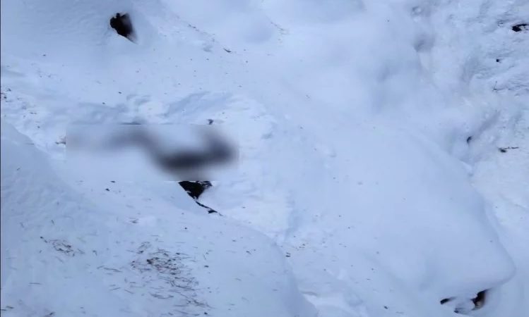 हिमाचल में सर्दी से दो और लोगों की मौत, हिमखंड की चपेट में आकर राहगीर घायल |