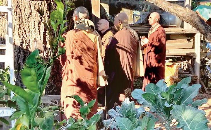 100 साल पुराना पेड़ काटने से पहले बौद्ध भिक्षुओं ने माफी मांगी, सम्मान से विदा किया|