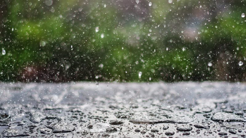 हरियाणाः दिन में धूप और रात में पाला, 13 जनवरी तक ‘ऑरेंज’ अलर्ट, बारिश की संभावना