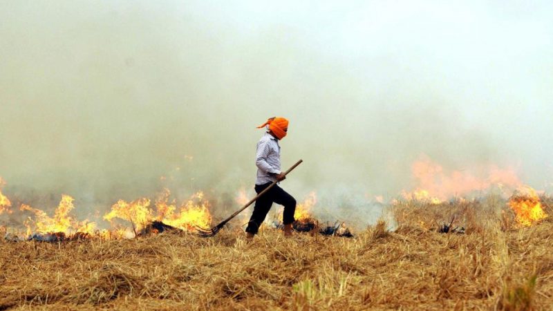 पराली जलाने में 167 किसान गिरफ्तार, 104 अधिकारी निलंबित