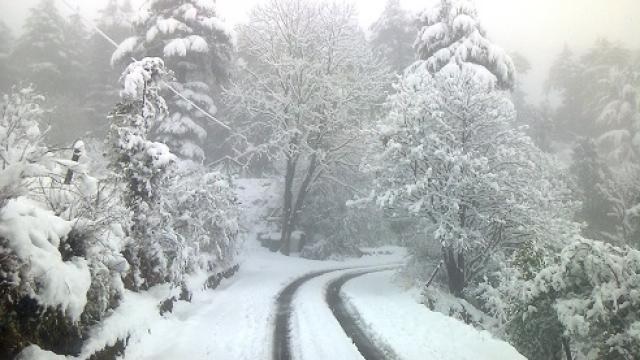 उत्तराखंड : धनौल्टी में बर्फबारी के कारण 150 से ज्यादा पयर्टक फंसे