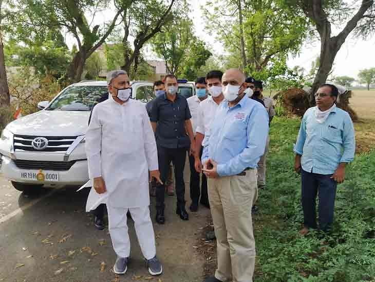 हरियाणा के कृषि मंत्री जेपी दलाल पहुंचे रेवाड़ी, टिड्डी दल से फसल के नुकसान का लिया जायजा