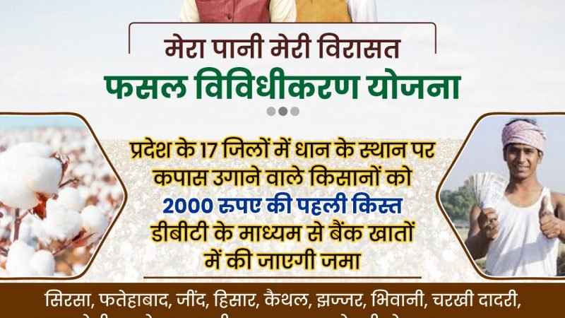 धान की जगह कपास उगाने पर किसानों को दी जाएंगी सरकार द्वारा धनराशि पहली किस्त 2000 रुपए