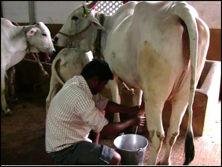 गाय के गोबर और गोमूत्र से 20 तरह के उत्पाद बना प्रति महीना कमा रहे दो लाख रुपये