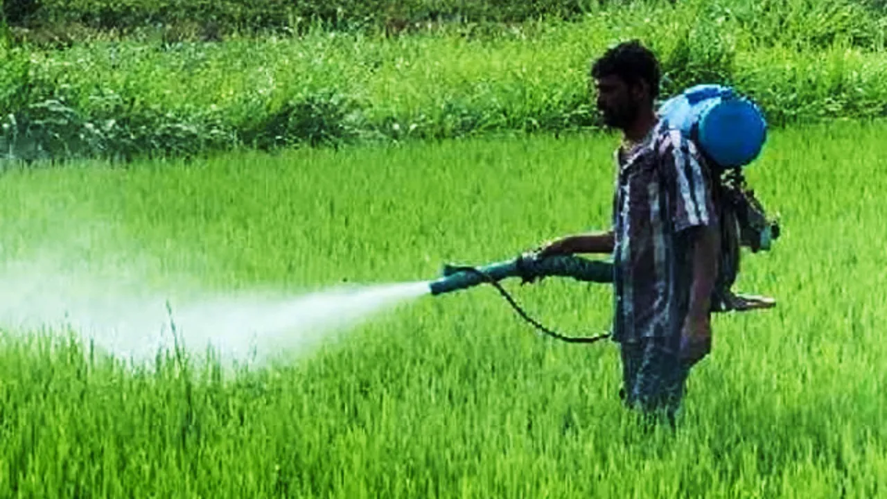 हरियाणा सरकार ने दो महीने के लिए 10 कीटनाशक दवाइओ पर रोक लगाया, किसानो के लिए बढ़ी आफत