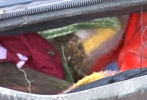 हरियाणा के रेवाड़ी जिले में सूटकेस में मिला महिला का शव –