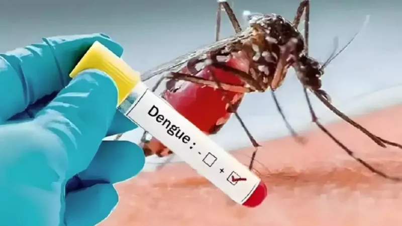 हरियाणा : अम्बाला में डेंगू के केस तेजी से बढ़ते नज़र आ रहे –