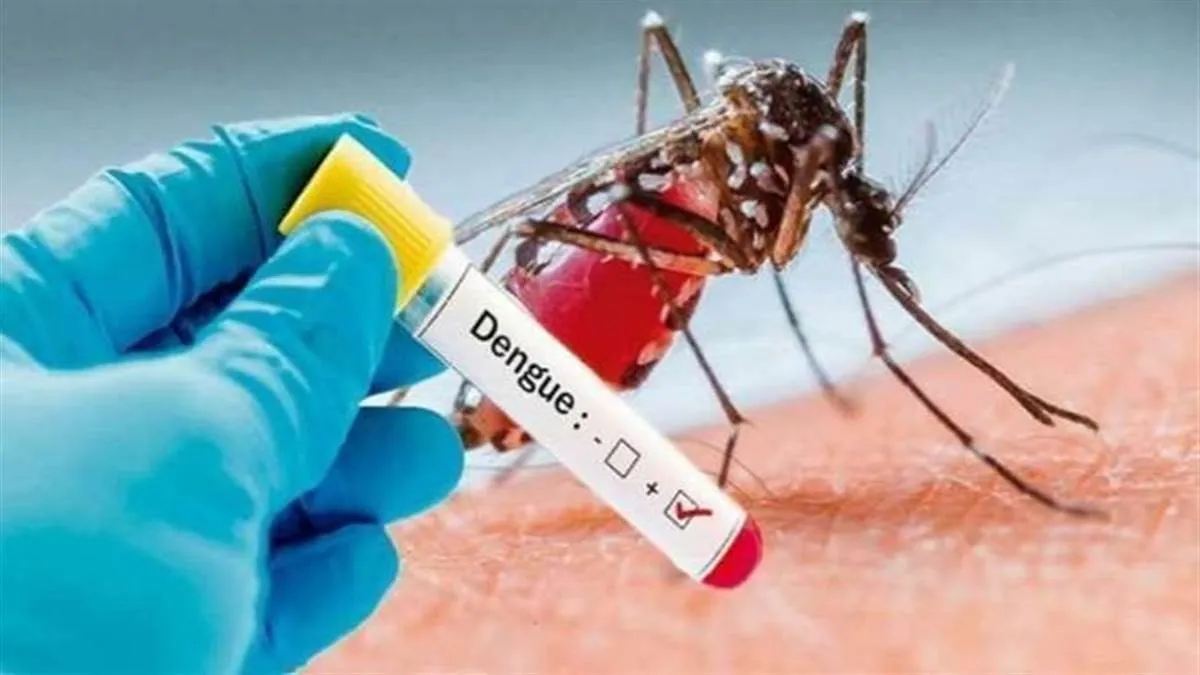 Dengue:उत्तर प्रदेश में डेंगू से 24 मौतें, बिहार में 373 नए मामले,