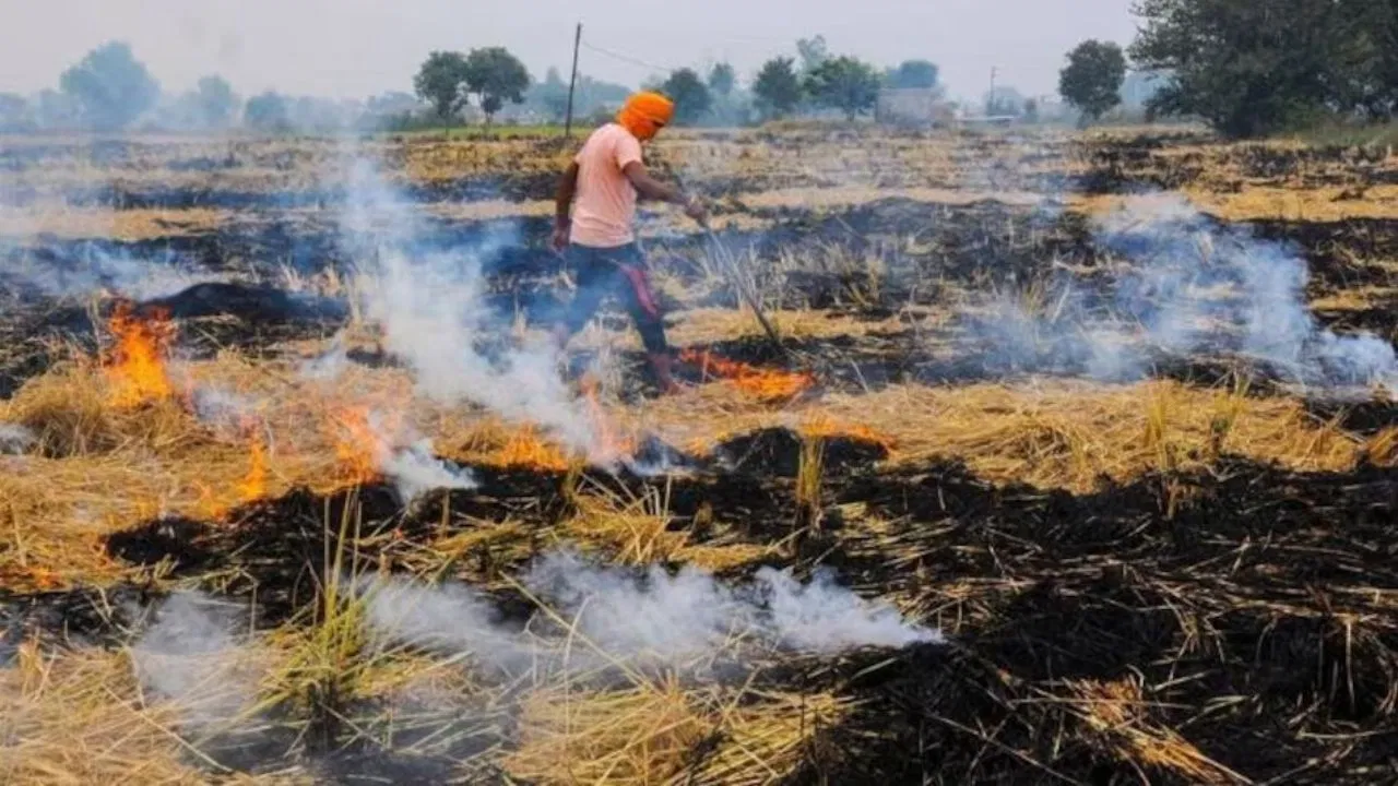 पराली का प्रदूषण: हरियाणा सरकार ने दिल्ली और पंजाब पर उठाई उंगली,